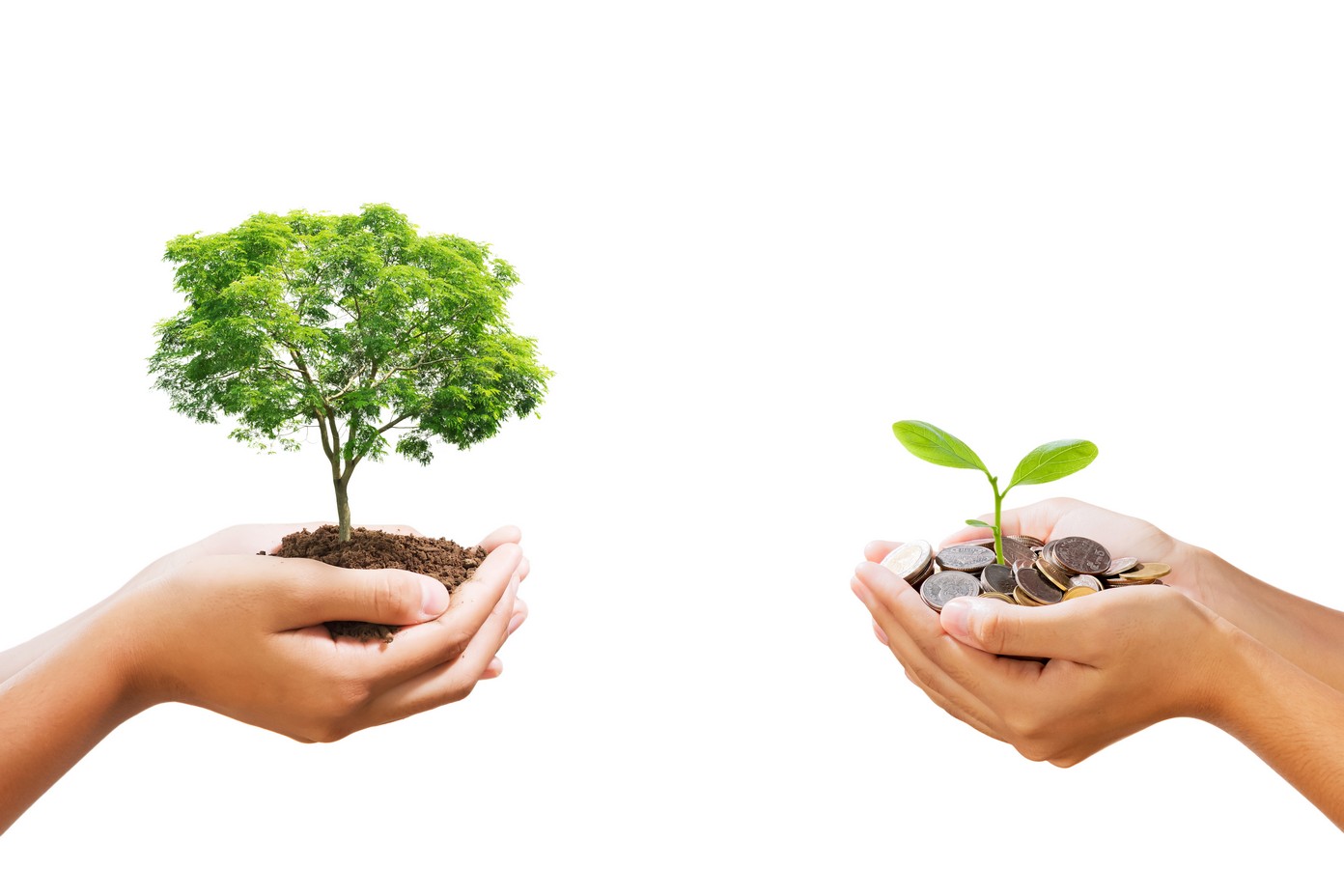 台中汽車借款,身份證借款